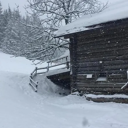 Bär *
